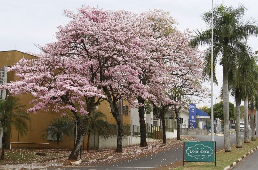 A PRIMAVERA JÁ CHEGOU!