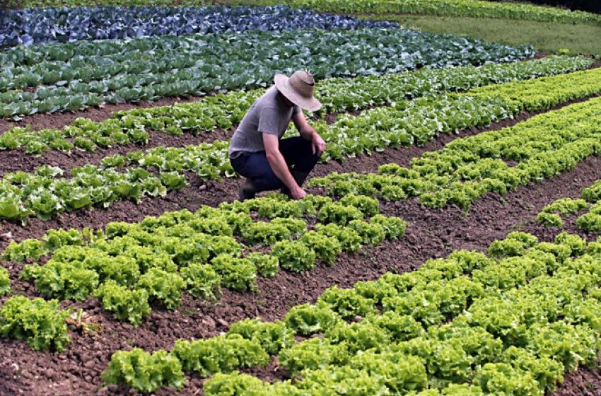 PREFEITURA REALIZARÁ MUTIRÃO DO CADASTRO AMBIENTAL RURAL NA PRÓXIMA QUARTA-FEIRA