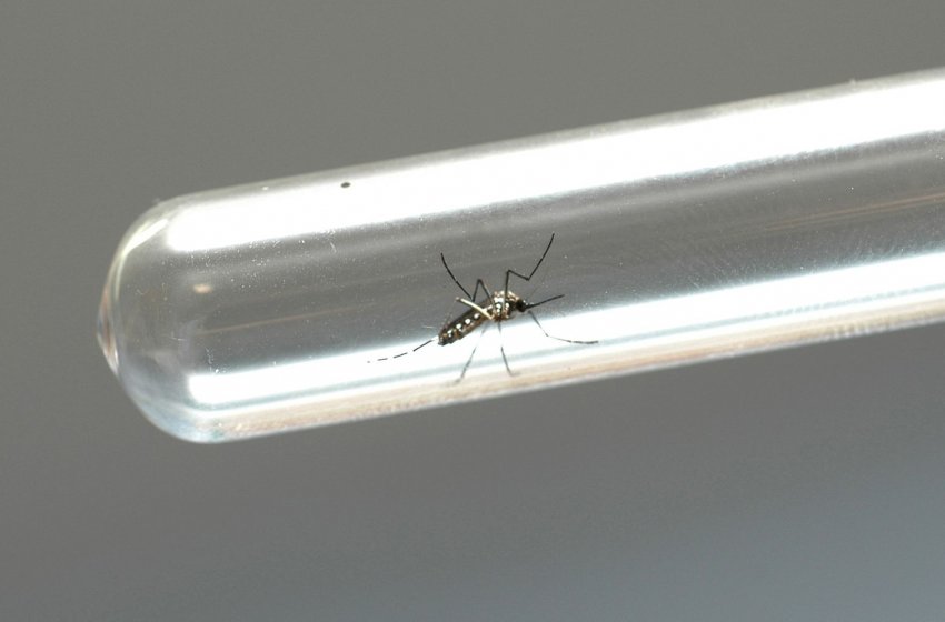 SAÚDE VISITA QUASE 700 IMÓVEIS NO NOVA JAGUARIÚNA EM MAIS UM MUTIRÃO CONTRA A DENGUE