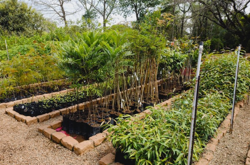 JAGUARIÚNA CELEBRA A SEMANA DO MEIO AMBIENTE COM ATIVIDADES EDUCATIVAS E SUSTENTÁVEIS
