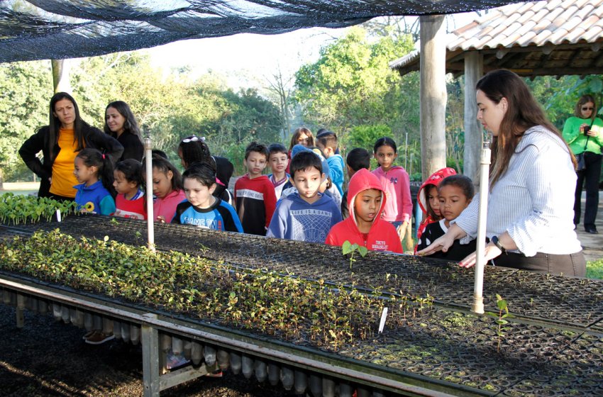 ALUNOS PARTICIPAM DE ATIVIDADE AMBIENTAL NO CEMA