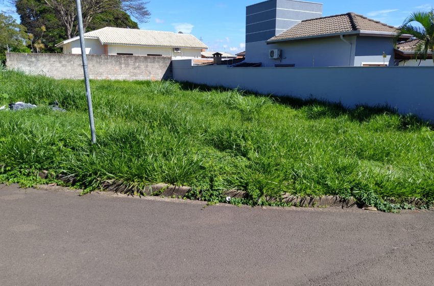 85% DAS NOTIFICAÇÕES DE PROPRIETÁRIOS DE TERRENOS PARA LIMPEZA SÃO ATENDIDAS