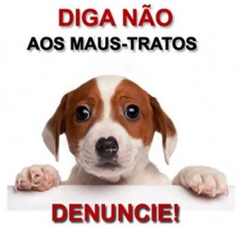 links